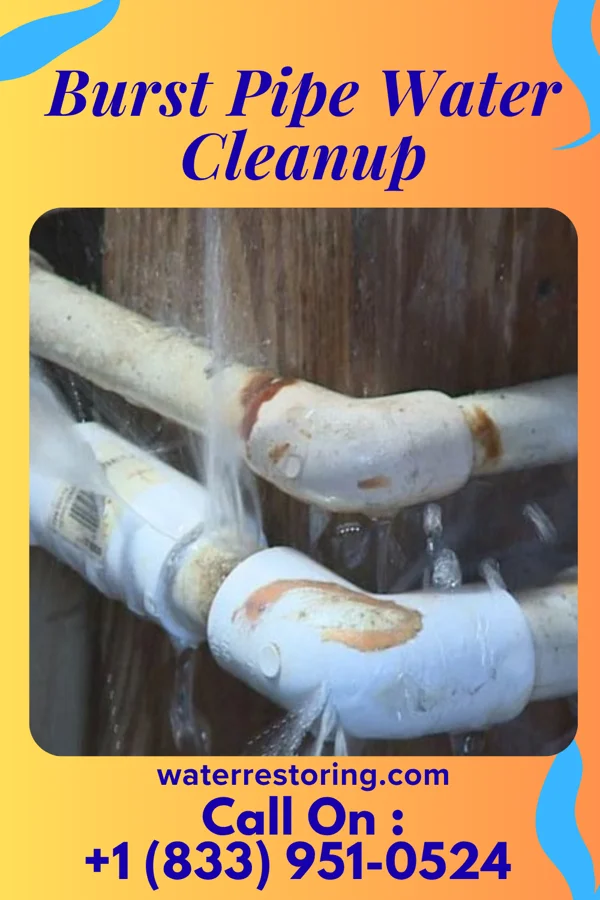 Burst Pipe Water Cleanup in Slabtown, PA
