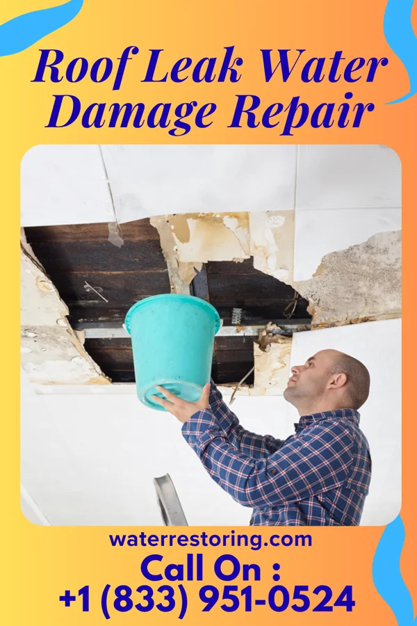 Roof Leak Water Damage Repair in Slabtown, PA