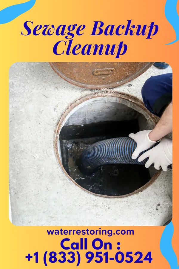 Sewage Backup Cleanup in Slabtown, PA