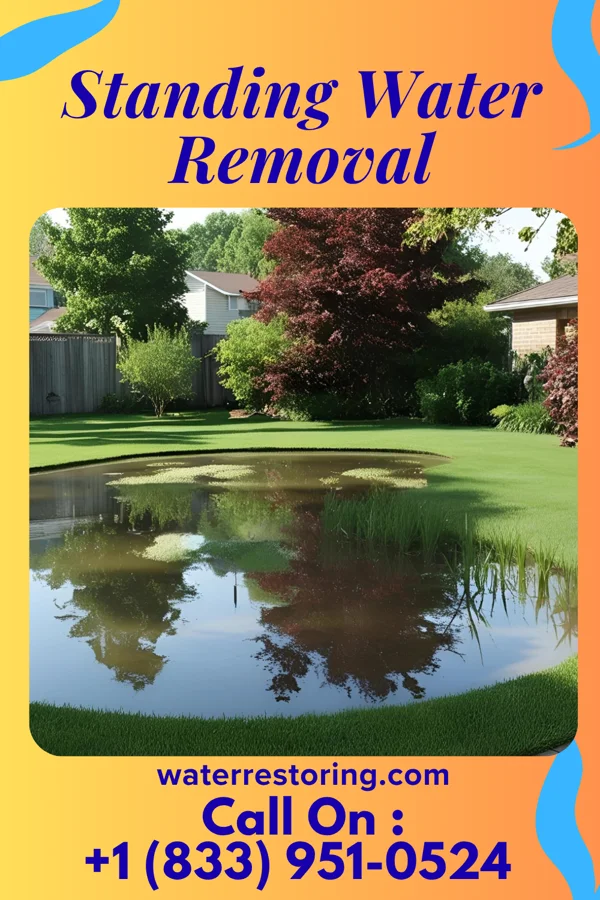 Standing Water Removal in Slabtown, PA